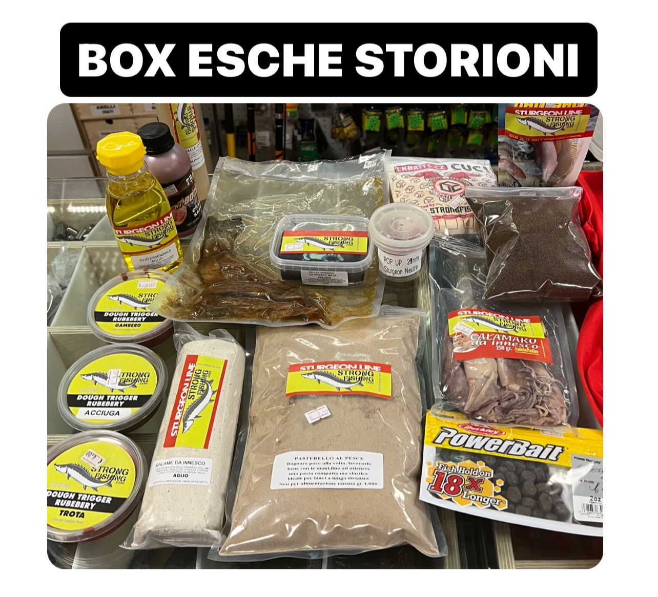 BOX ESXHE STORIONI
