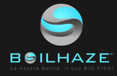 BOILHAZE