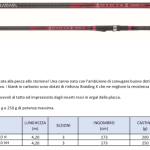 Daiwa Ninja Fighter 4.20mt 250gr HH