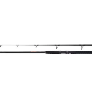 Shimano Canna Beastmaster AX Catfish Static 2,80m 350g 2pc
