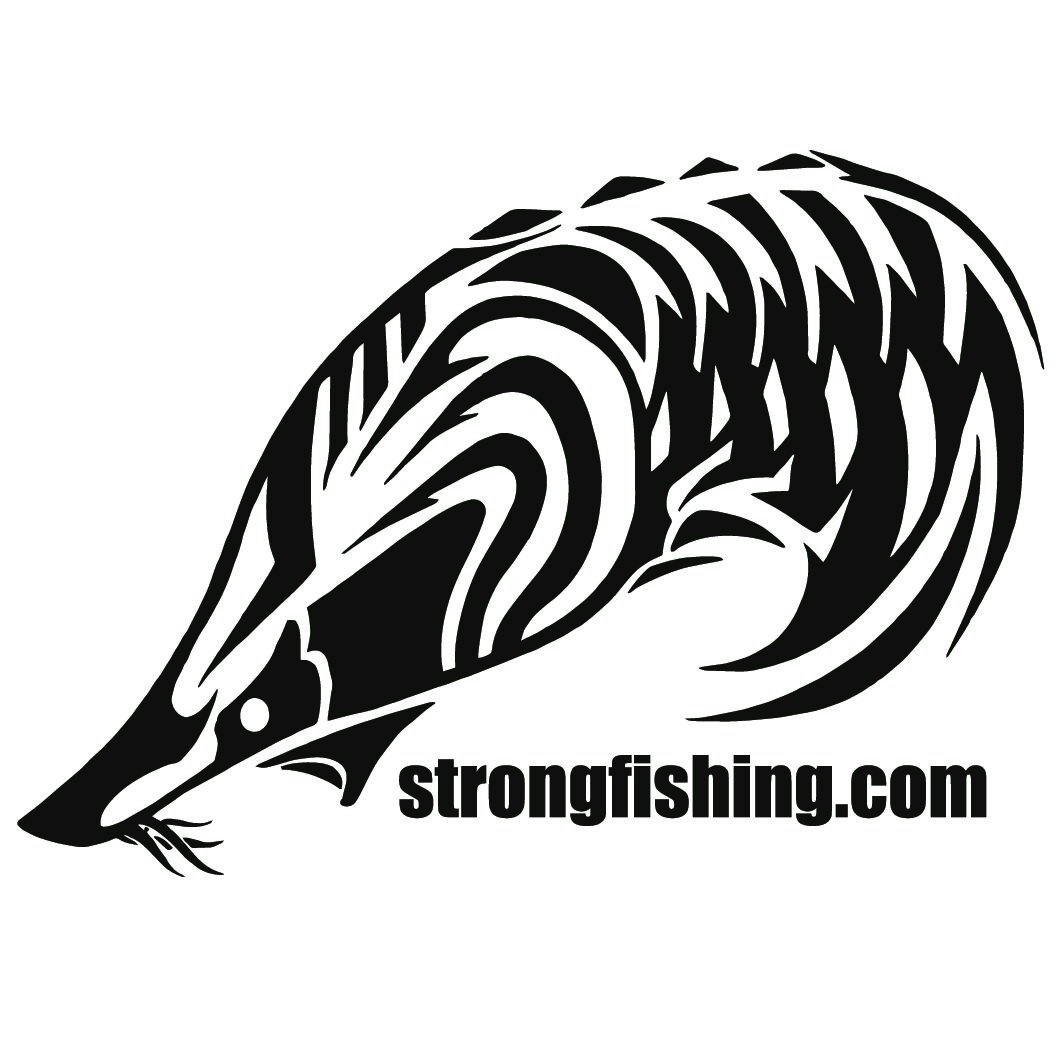 ADESIVO STURGEON