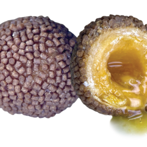 LK Baits Nutrigo Pellets Romadur Halibut, 200ml, 20mm