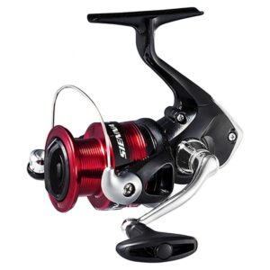 Shimano Mulinello Sienna C3000 FG