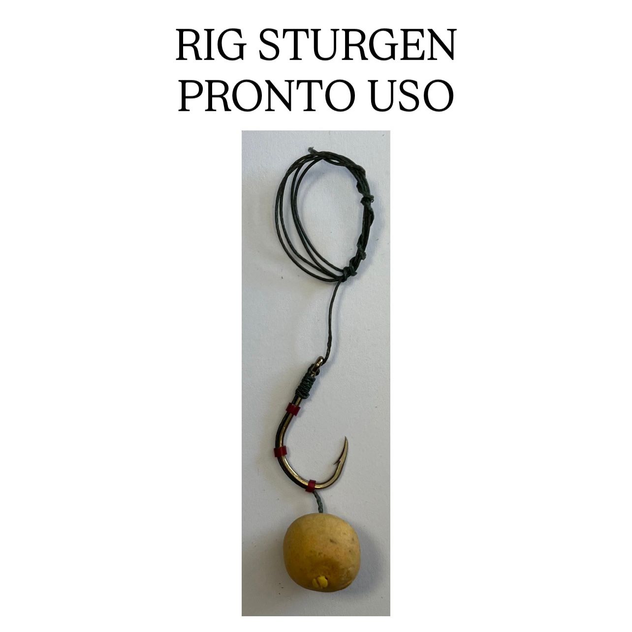 RIG STURGEON PRONTO USO