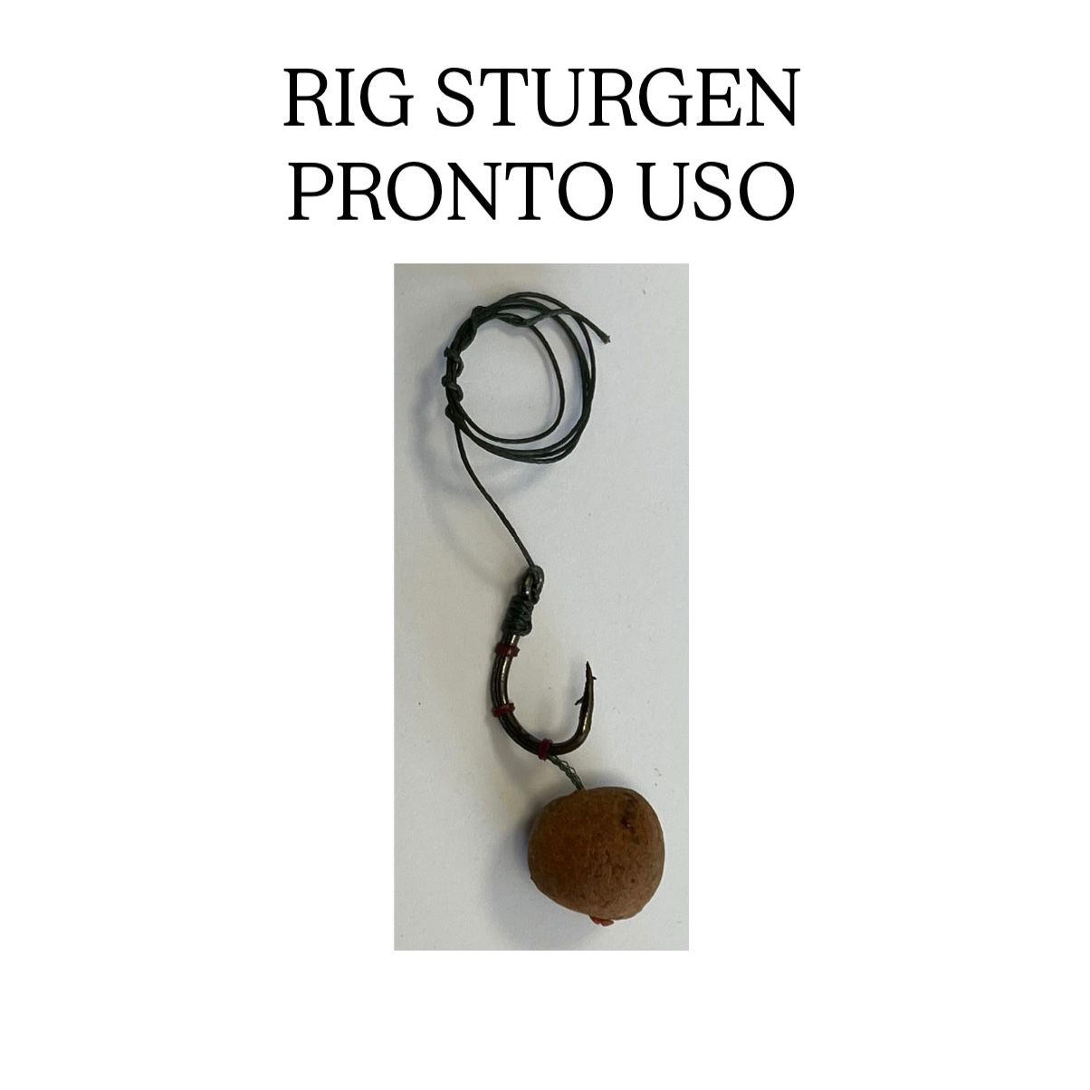 RIG STURGEON PRONTO USO
