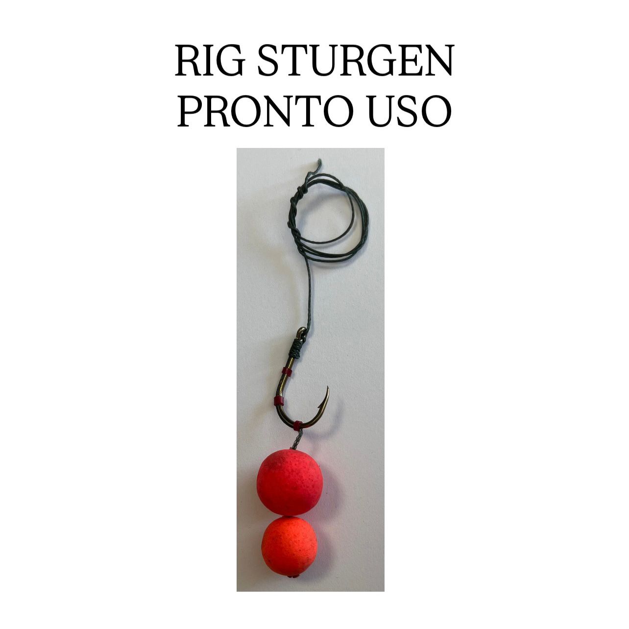 RIG STURGEON PRONTO USO