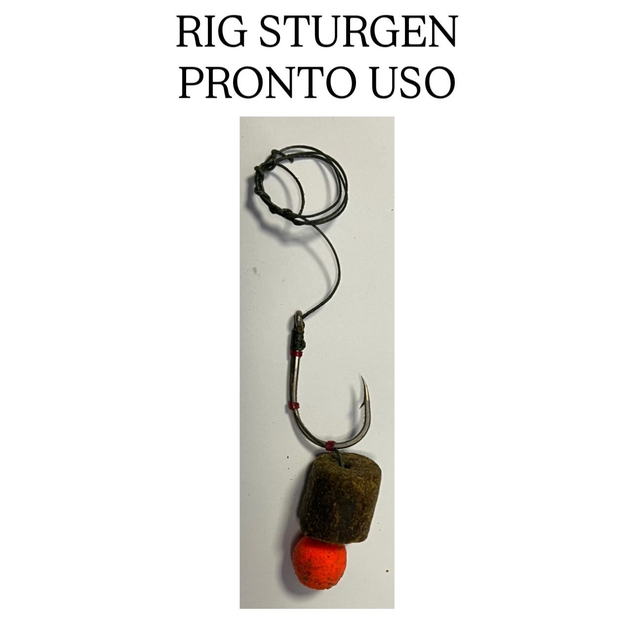 RIG STURGEON PRONTO USO