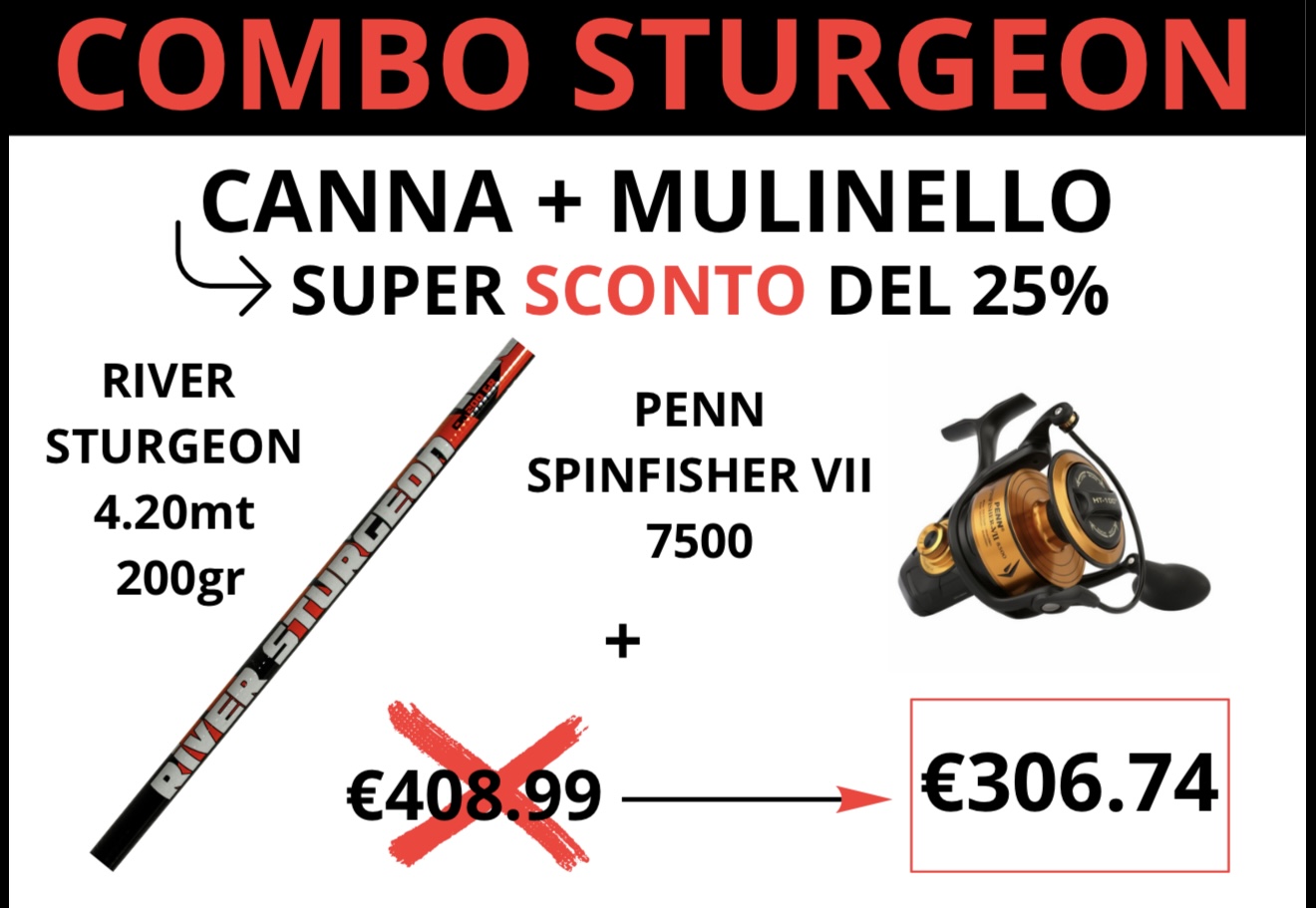 COMBO STURGEON 13