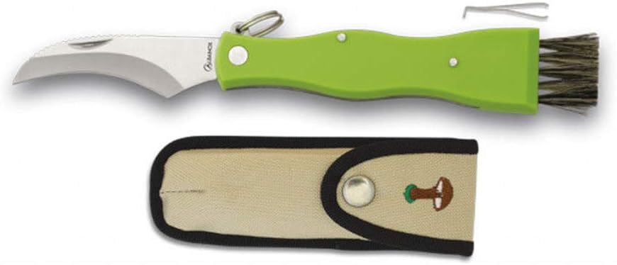Alabainox Coltello Per Funghi