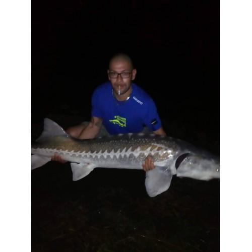 Lauro F.