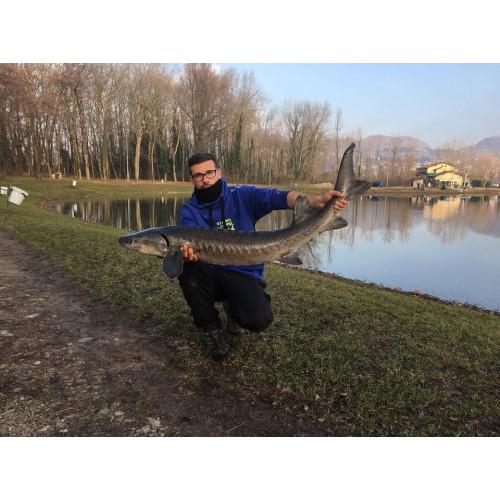simonem03